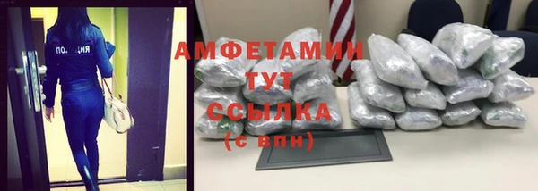 индика Абинск