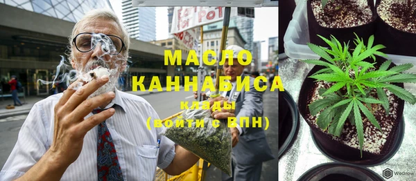 индика Абинск