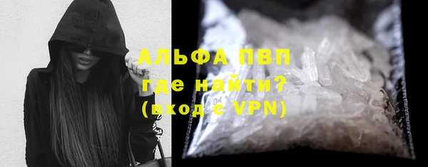 индика Абинск