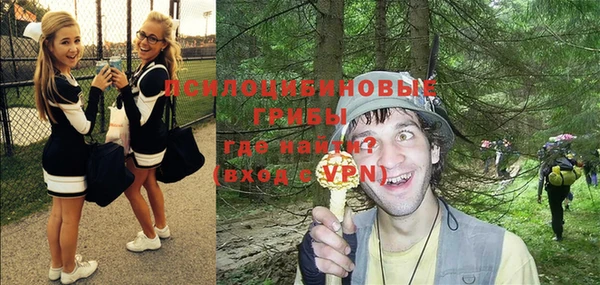 экстази Грязовец