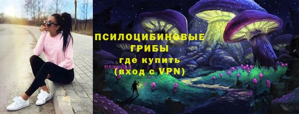 индика Абинск