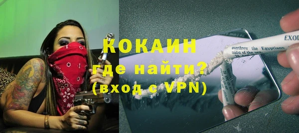 индика Абинск